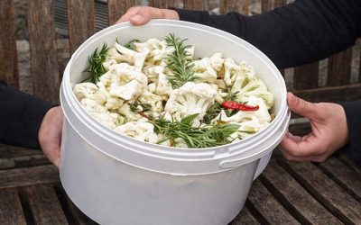 St Raphael’s Edible Garden